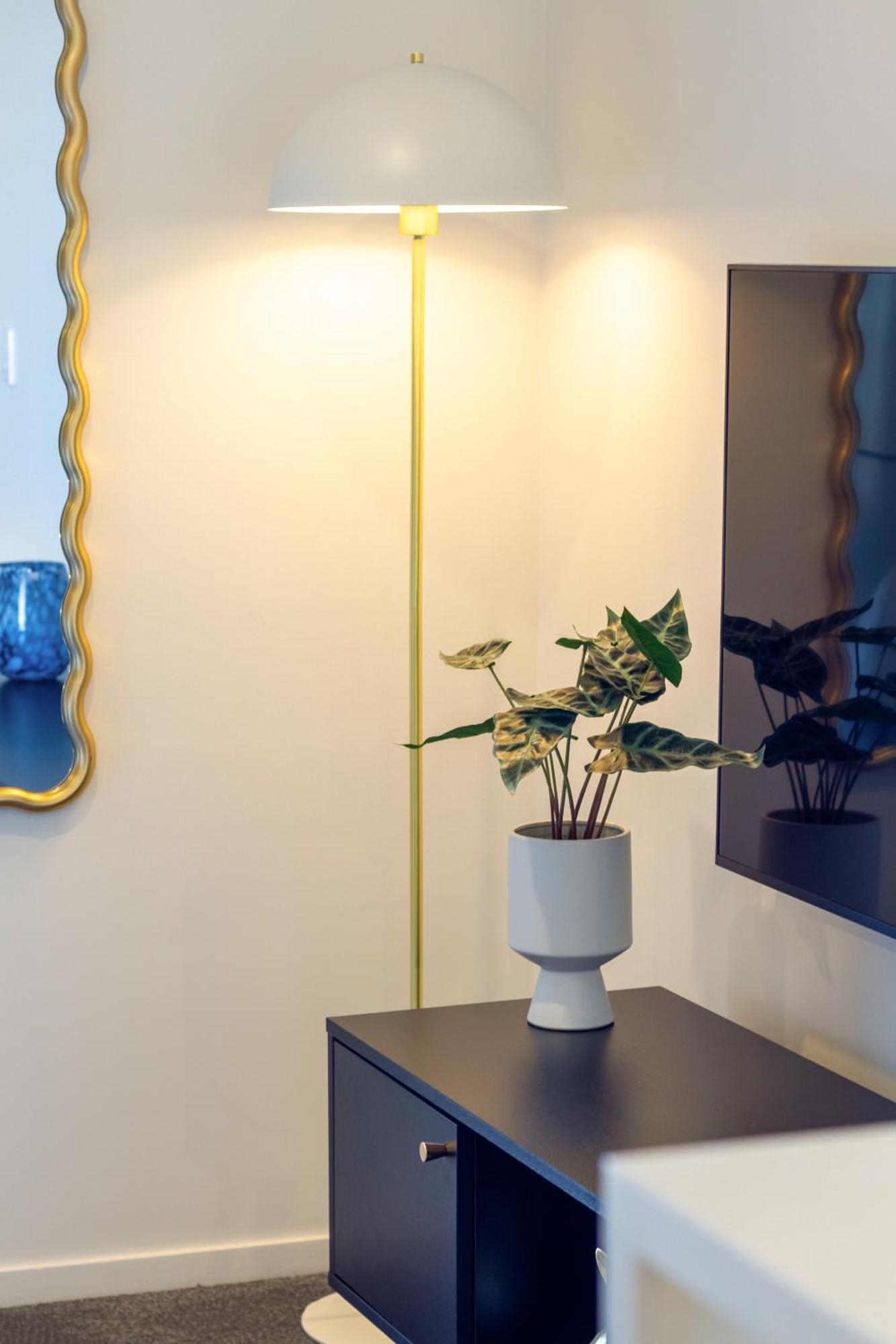 Explore From 8 Wilmer: Upper Level Cozy Studio Christchurch Buitenkant foto